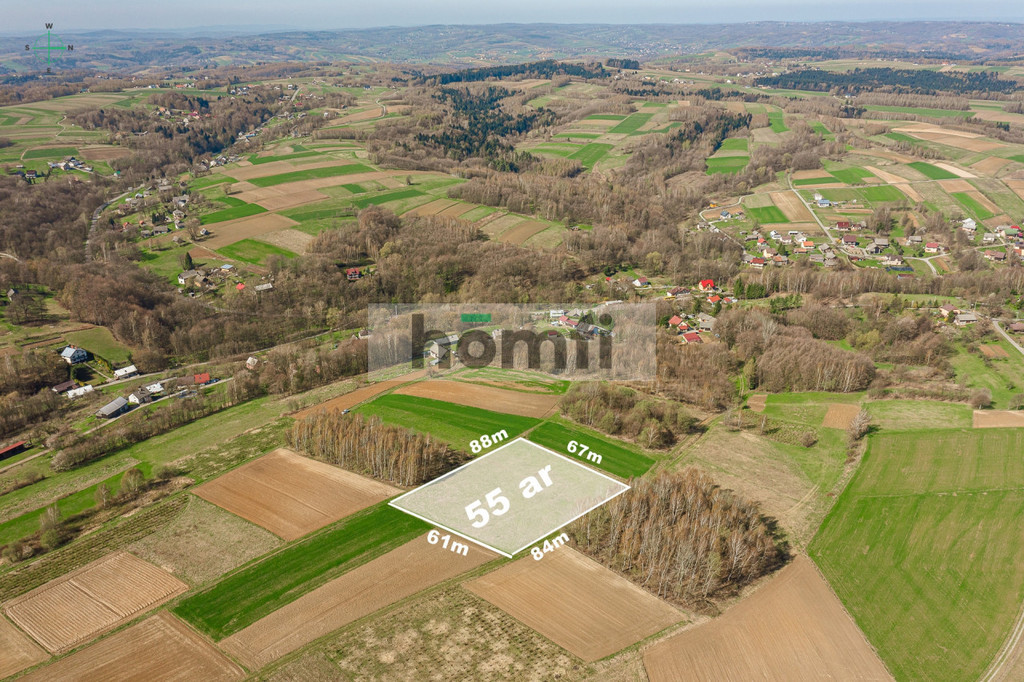 Działka budowlana 5500 m², Szkodna - zdjęcie 8