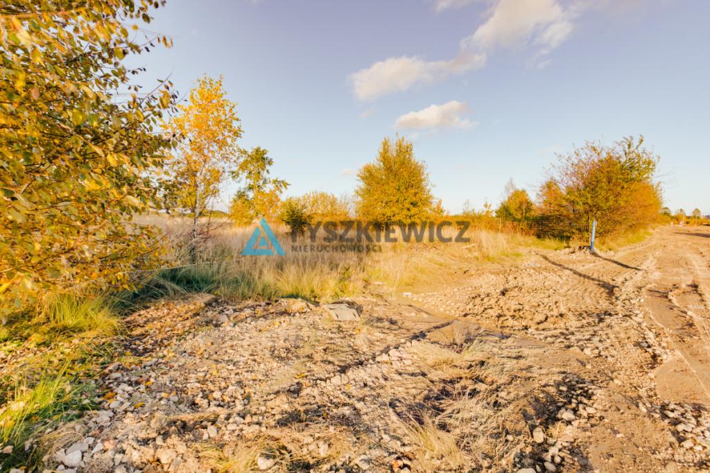 Piękna równa działka - zdjęcie 8
