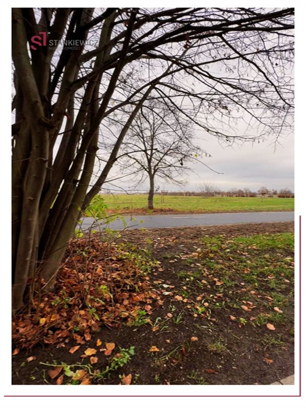 Mieszkanie 74 m², Leszno, Ogrody - zdjęcie 15