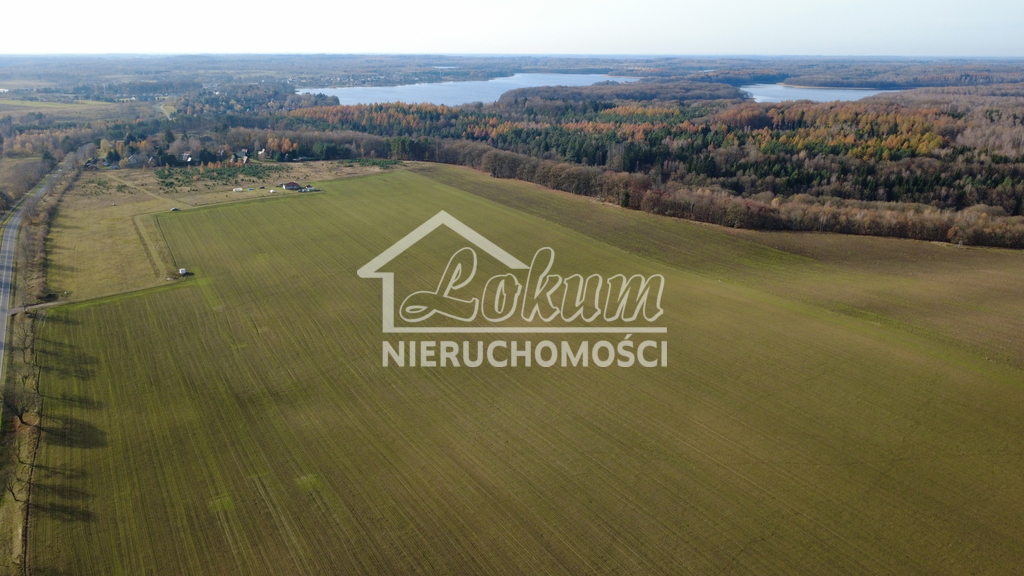 Działka rolna 3000 m², Storkowo - zdjęcie 7