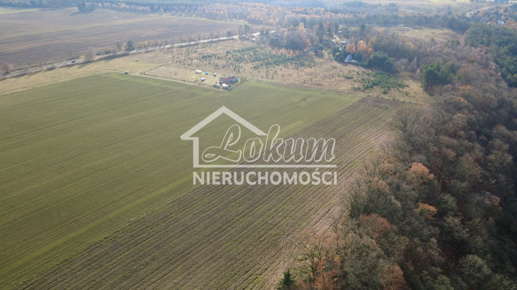 Działka rolna 3000&nbsp;m², Storkowo - zdjęcie 11