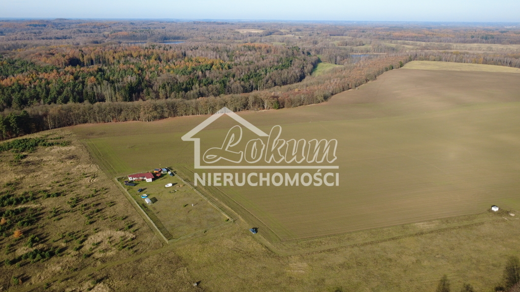 Działka rolna 3000&nbsp;m², Storkowo - zdjęcie 4