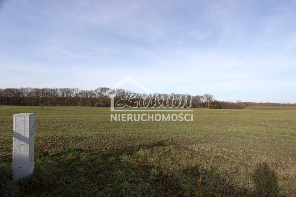 Działka rolna 3000&nbsp;m², Storkowo - zdjęcie 17