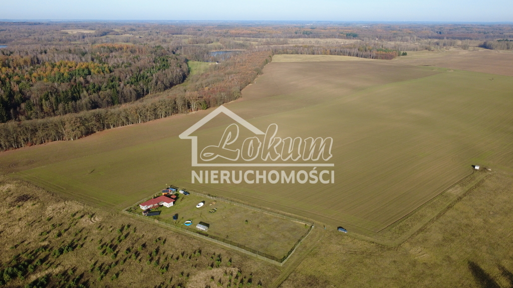 Działka rolna 3000&nbsp;m², Storkowo - zdjęcie 10