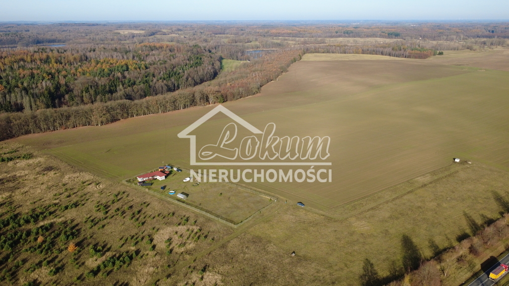 Działka rolna 3000 m², Storkowo - zdjęcie 9