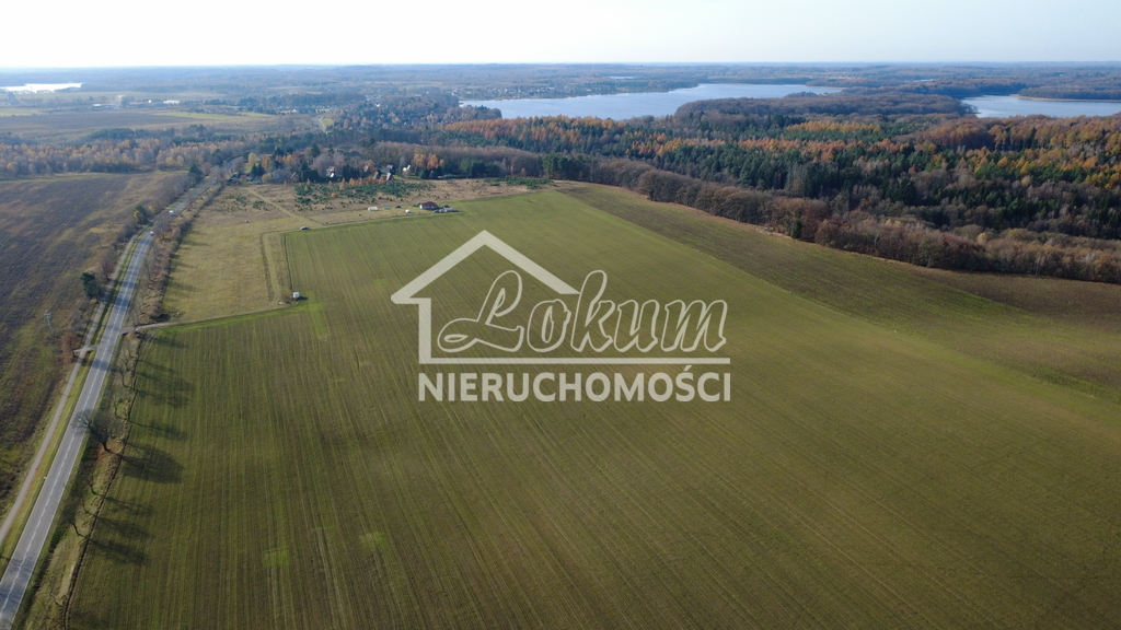 Działka rolna 3000&nbsp;m², Storkowo - zdjęcie 6