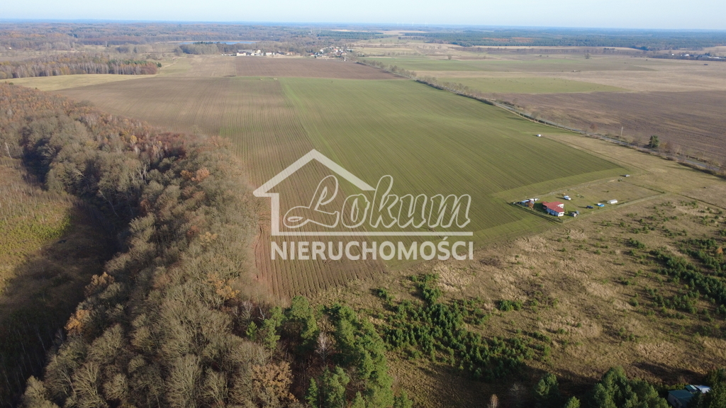 Działka rolna 3000 m², Storkowo - zdjęcie 3