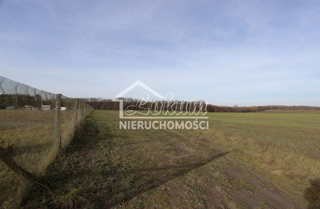 Działka rolna 3000&nbsp;m², Storkowo - zdjęcie 16