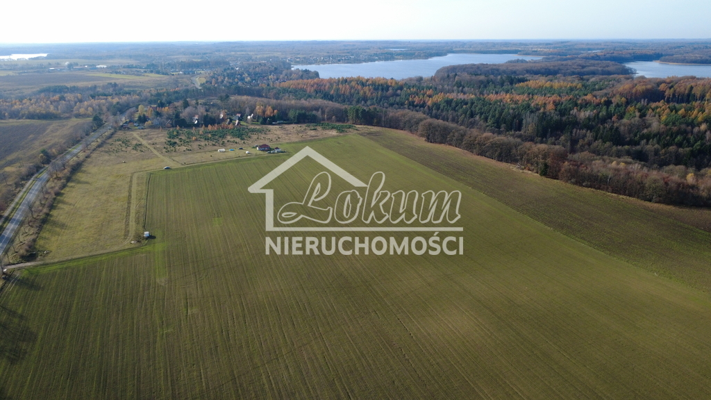 Działka rolna 3000&nbsp;m², Storkowo - zdjęcie 5