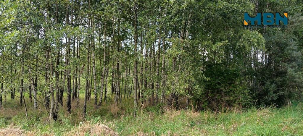 Działka rolna 10,96&nbsp;ha, Miłki - zdjęcie 13