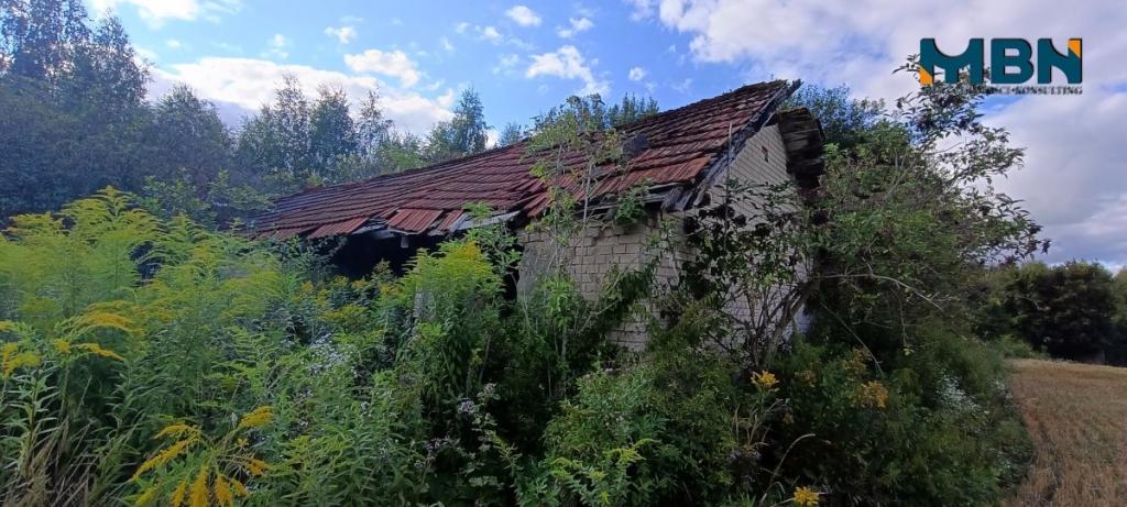 Działka rolna 10,96&nbsp;ha, Miłki - zdjęcie 11