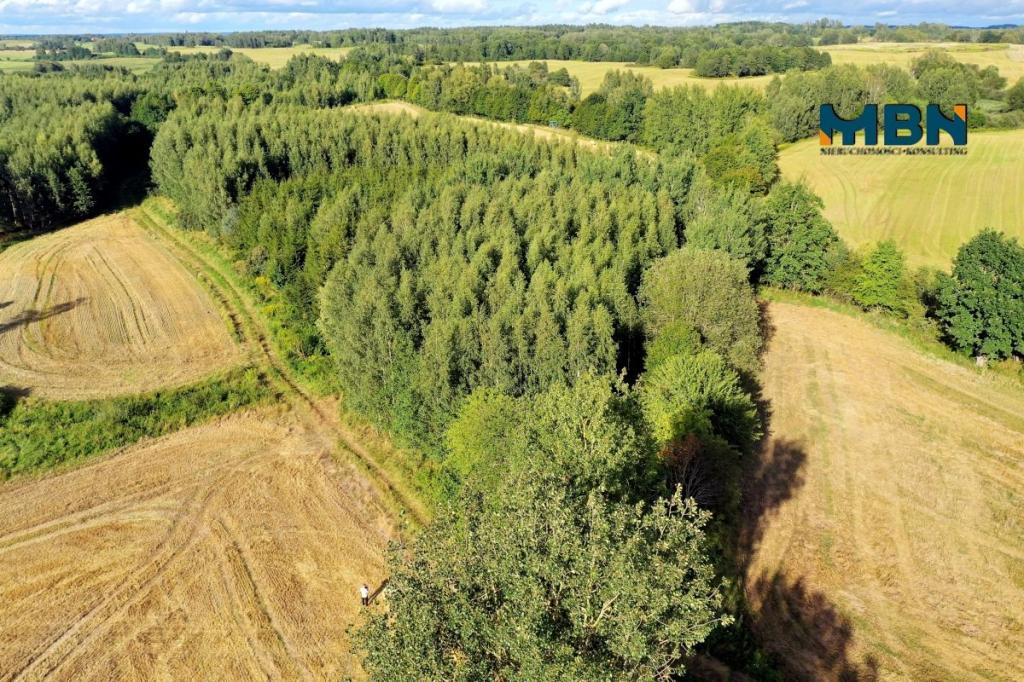 Działka rolna 10,96&nbsp;ha, Miłki - zdjęcie 12