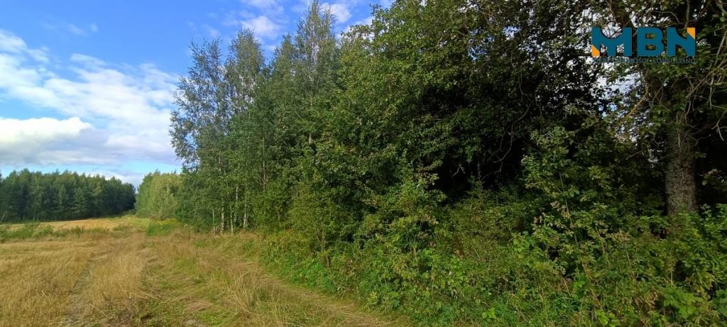 Działka rolna 10,96&nbsp;ha, Miłki - zdjęcie 15