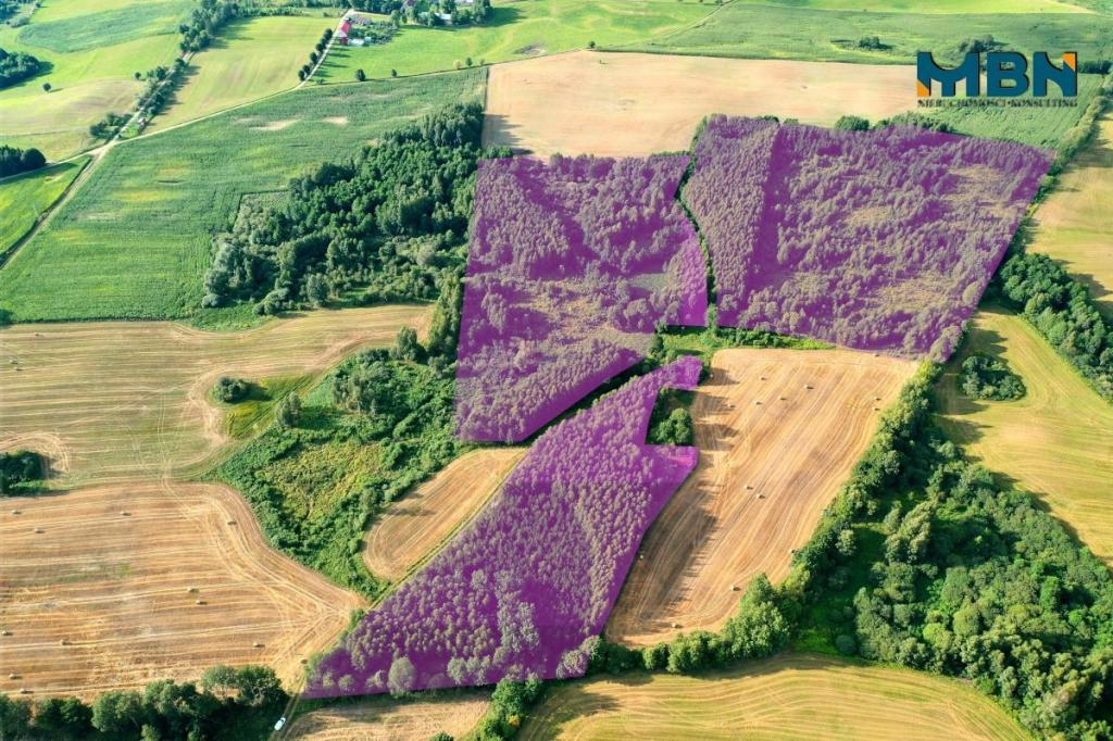 Działka rolna 10,96&nbsp;ha, Miłki - zdjęcie 1