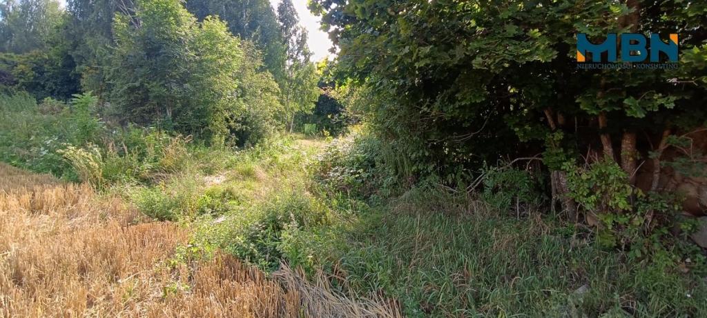Działka rolna 10,96&nbsp;ha, Miłki - zdjęcie 18