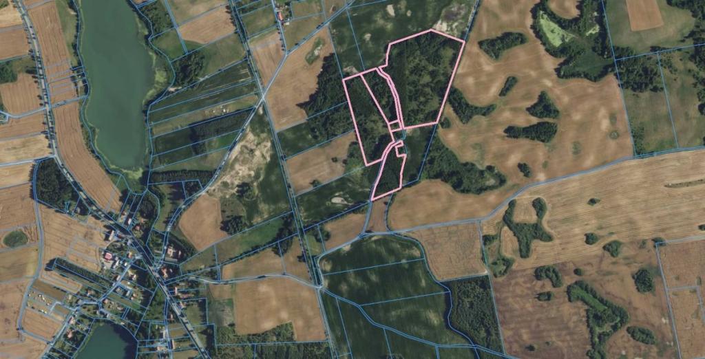 Działka rolna 10,96&nbsp;ha, Miłki - zdjęcie 4
