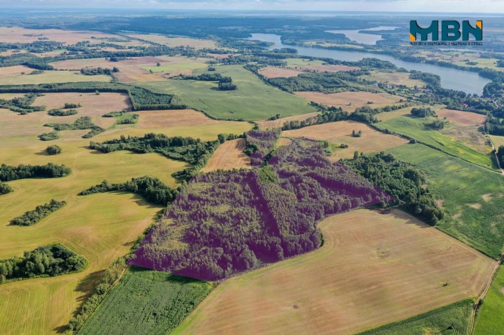 Działka rolna 10,96&nbsp;ha, Miłki - zdjęcie 8