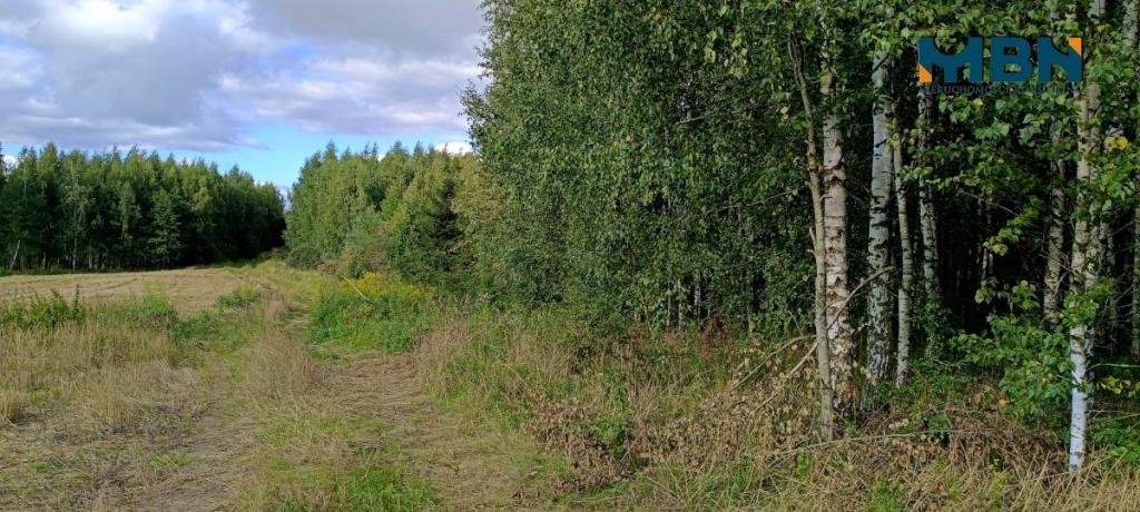 Działka rolna 10,96&nbsp;ha, Miłki - zdjęcie 19