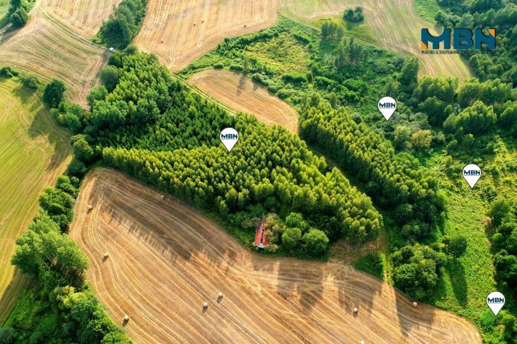 Działka rolna 10,96&nbsp;ha, Miłki - zdjęcie 2