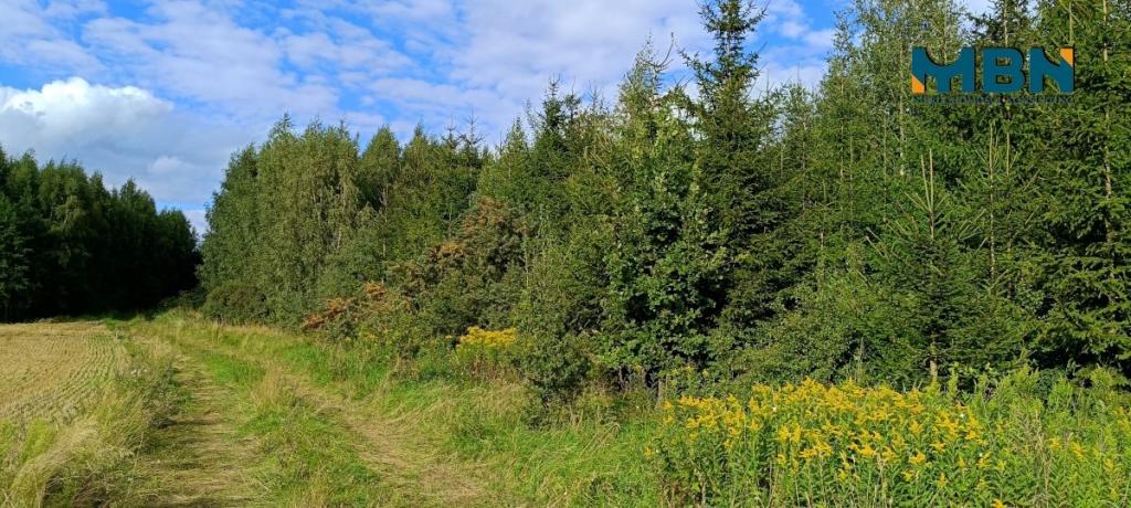 Działka rolna 10,96&nbsp;ha, Miłki - zdjęcie 16