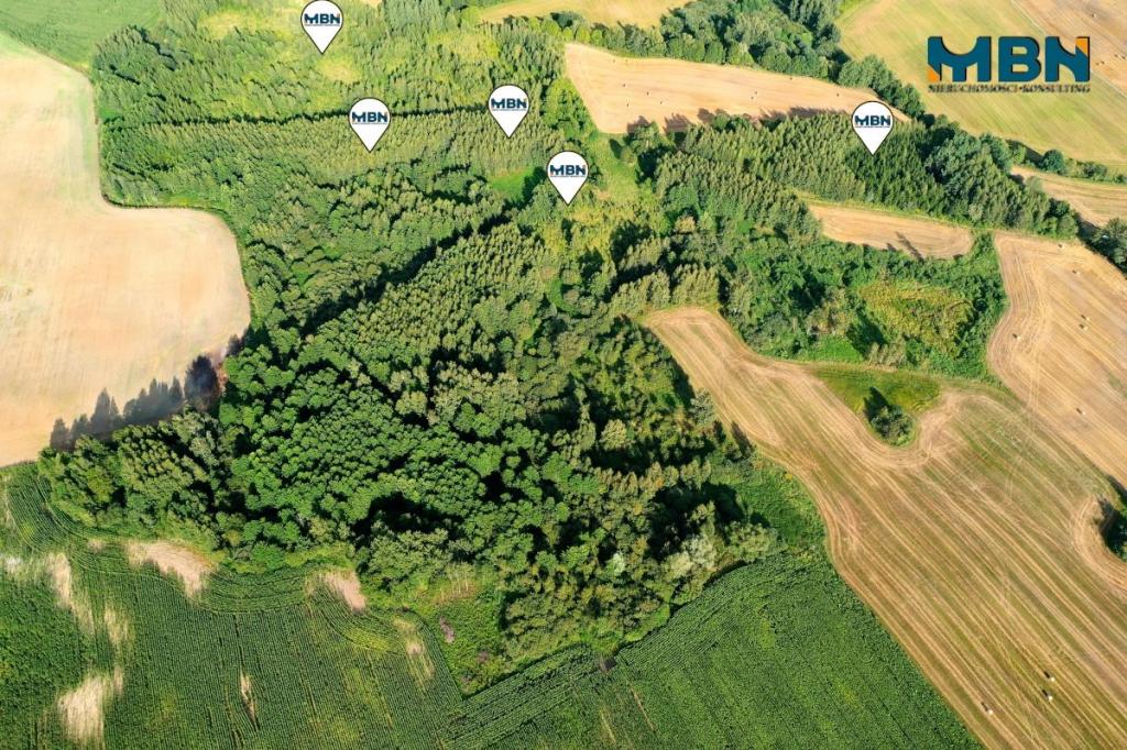 Działka rolna 10,96&nbsp;ha, Miłki - zdjęcie 9