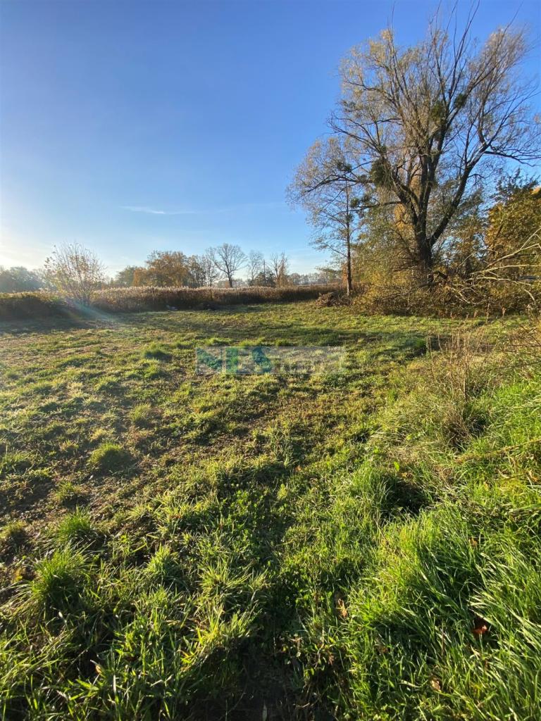 Działka budowlana 1234&nbsp;m², Wilczyce, Dworska - zdjęcie 6