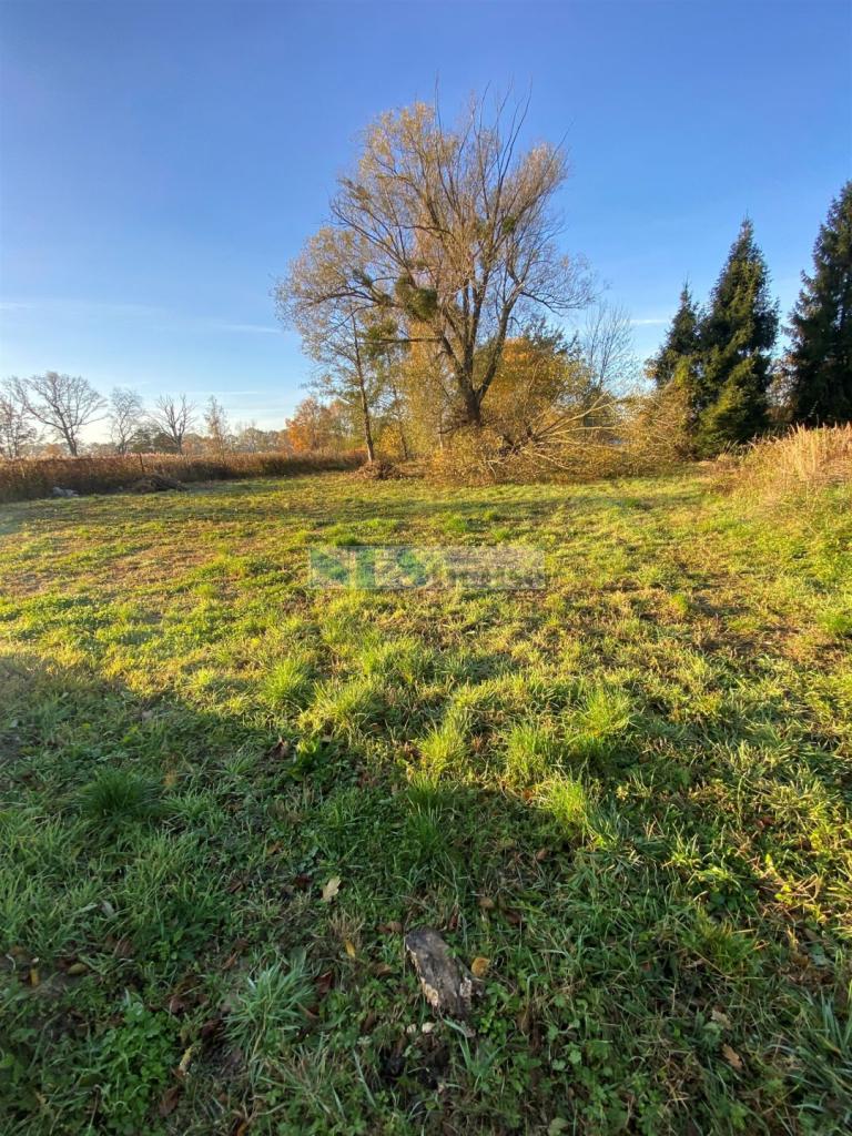 Działka budowlana 1234 m², Wilczyce, Dworska - zdjęcie 1