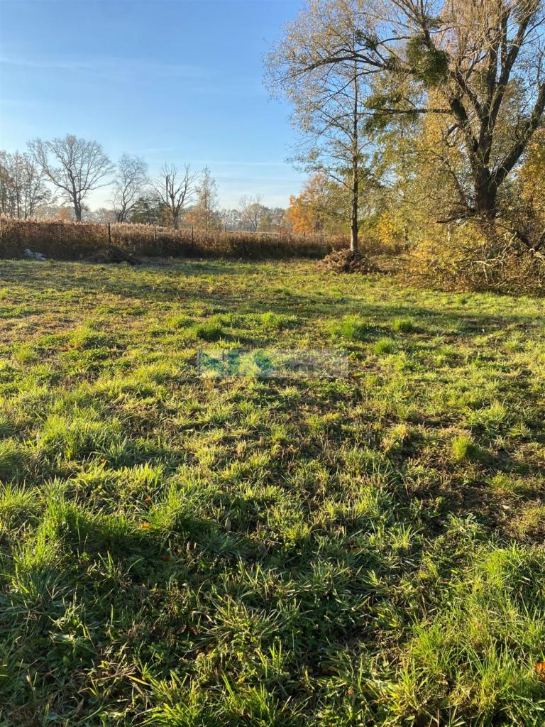 Działka budowlana 1234&nbsp;m², Wilczyce, Dworska - zdjęcie 5