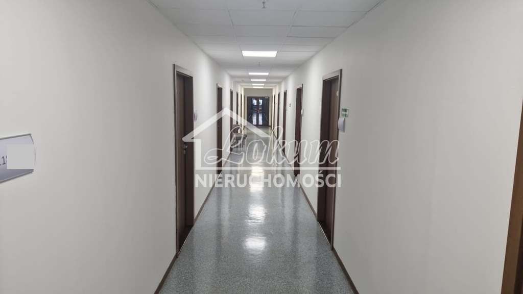 Lokal usługowy do wynajęcia, 300&nbsp;m², Szczecin - zdjęcie 1