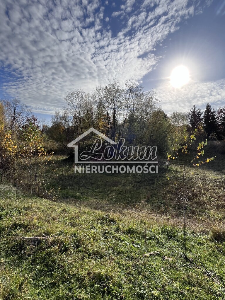 Działka budowlana 2,50&nbsp;ha, Binowo - zdjęcie 14