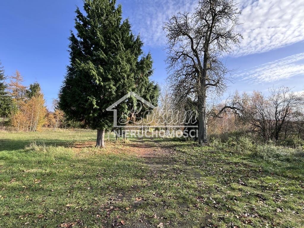 Działka budowlana 2,50&nbsp;ha, Binowo - zdjęcie 13
