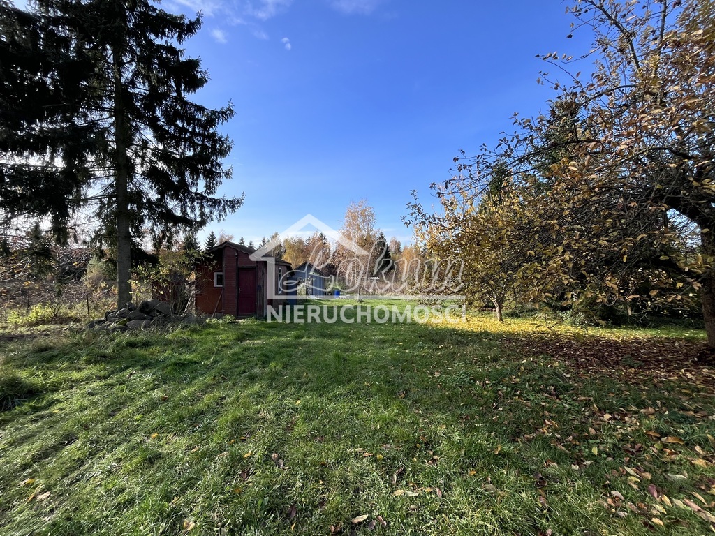 Działka budowlana 2,50&nbsp;ha, Binowo - zdjęcie 11