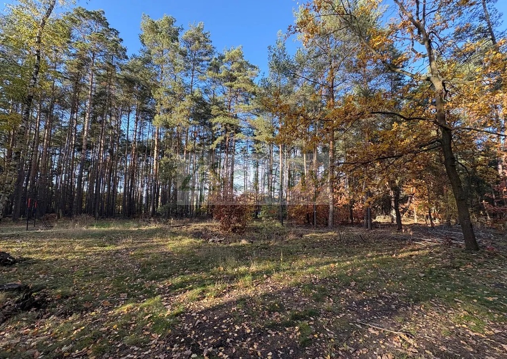 Działka budowlana 4000 m², Marynin - zdjęcie 4