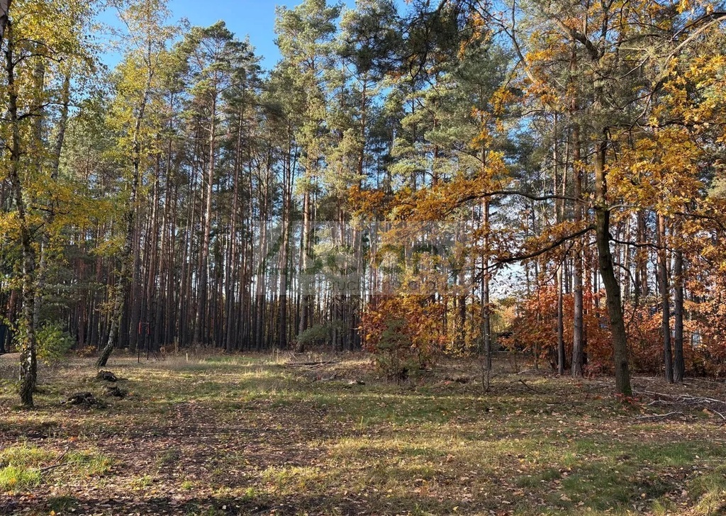 Działka budowlana 4000 m², Marynin - zdjęcie 3