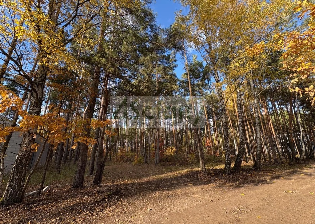 Działka budowlana 4000 m², Marynin - zdjęcie 6