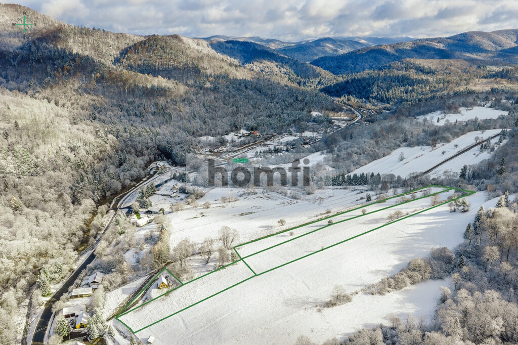 Działka inwestycyjna 3000&nbsp;m², Żubracze - zdjęcie 3