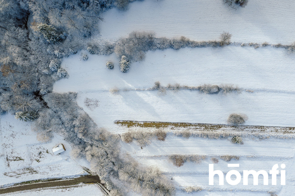 Działka inwestycyjna 3000&nbsp;m², Żubracze - zdjęcie 9