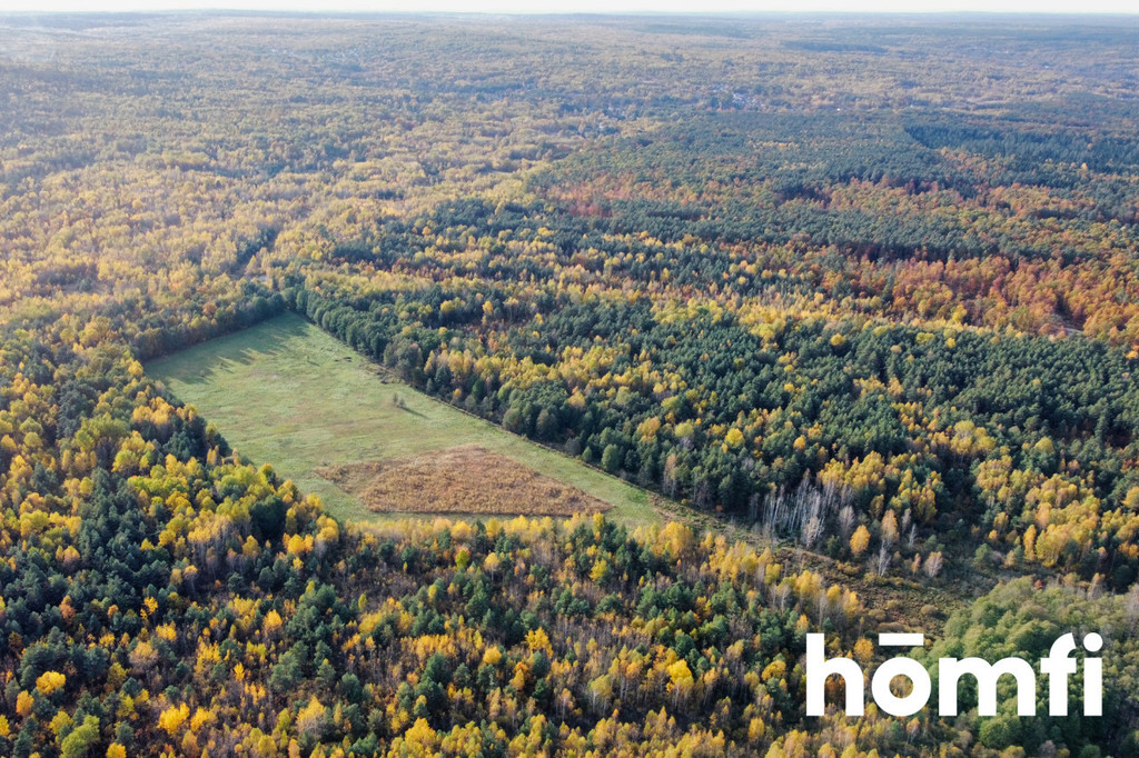 Działka rolna 13,06&nbsp;ha, Chlewiska - zdjęcie 5