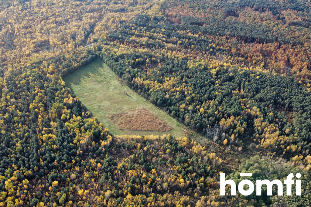 Działka rolna 13,06&nbsp;ha, Chlewiska - zdjęcie 6
