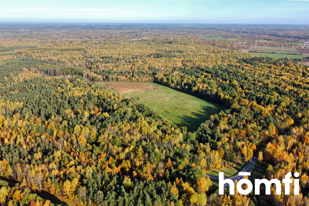 Działka rolna 13,06&nbsp;ha, Chlewiska - zdjęcie 1
