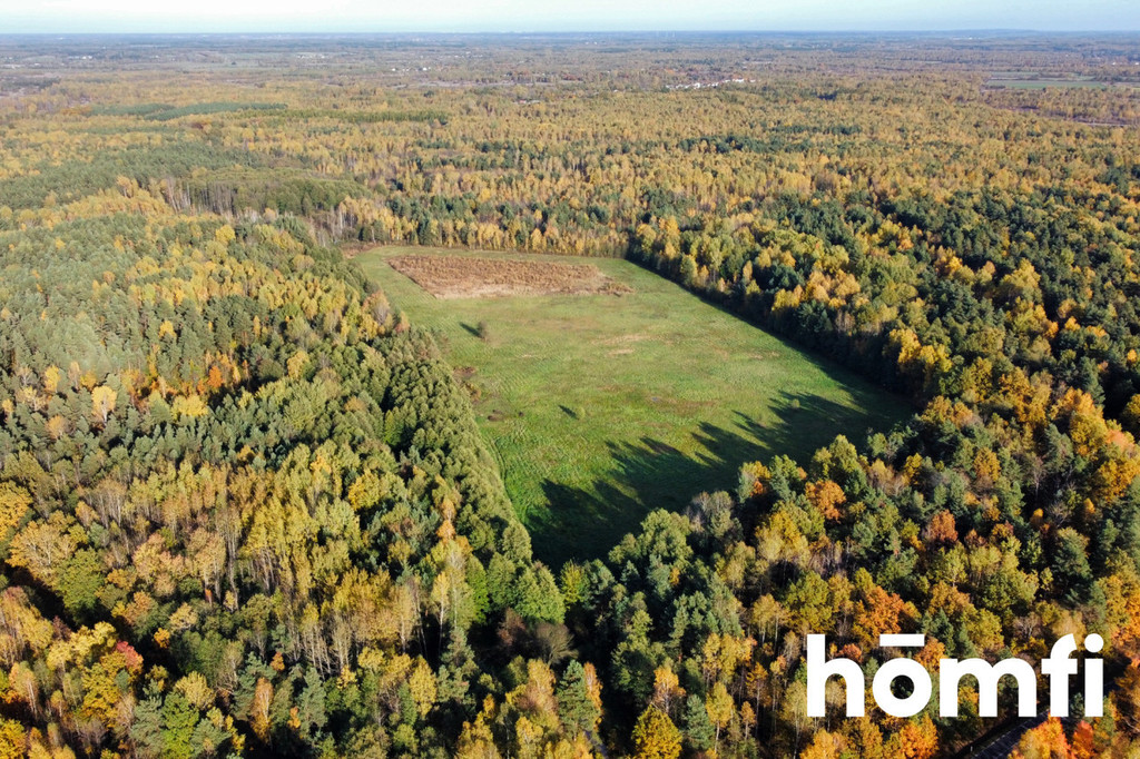 Działka rolna 13,06&nbsp;ha, Chlewiska - zdjęcie 4
