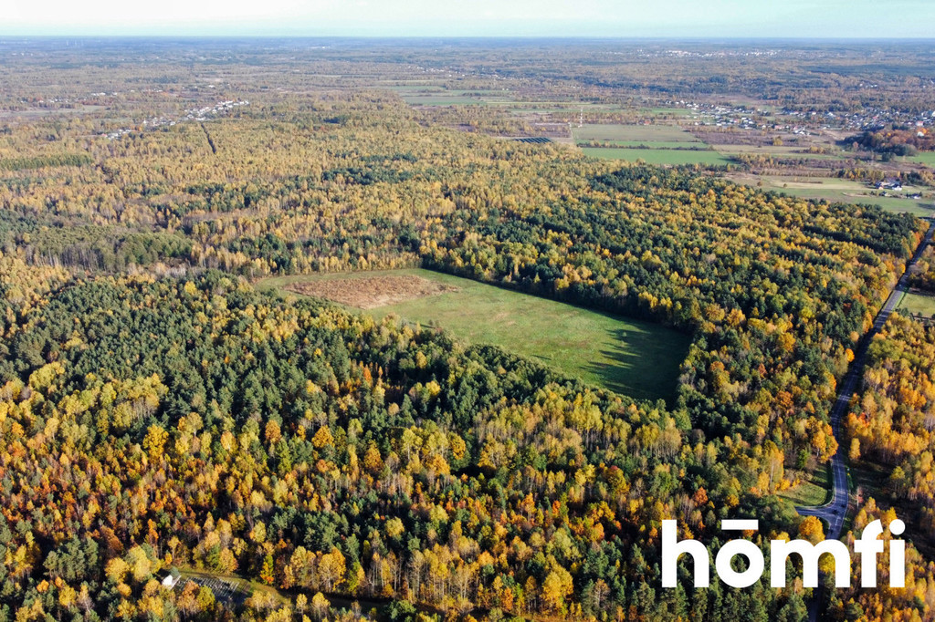 Działka rolna 13,06&nbsp;ha, Chlewiska - zdjęcie 7