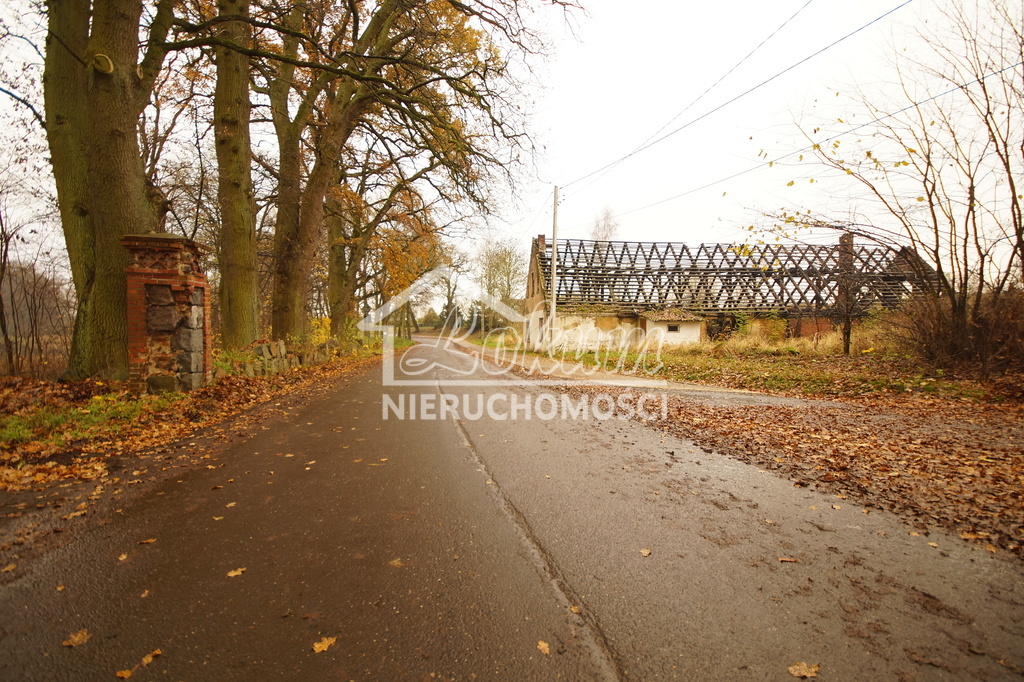 Działka budowlana 8900&nbsp;m², Radzanek - zdjęcie 4