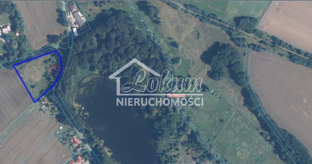 Działka budowlana 8900&nbsp;m², Radzanek - zdjęcie 5