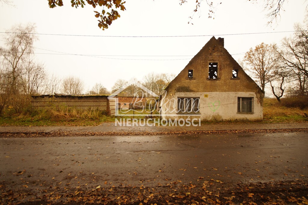 Działka budowlana 8900&nbsp;m², Radzanek - zdjęcie 3
