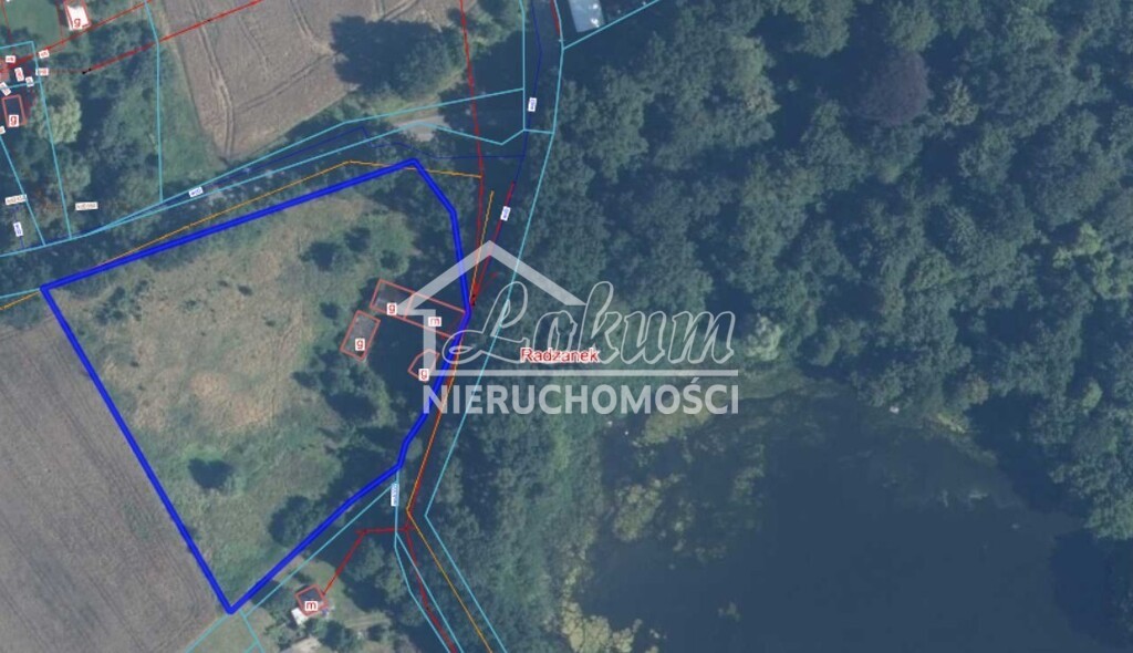Działka budowlana 8900&nbsp;m², Radzanek - zdjęcie 6