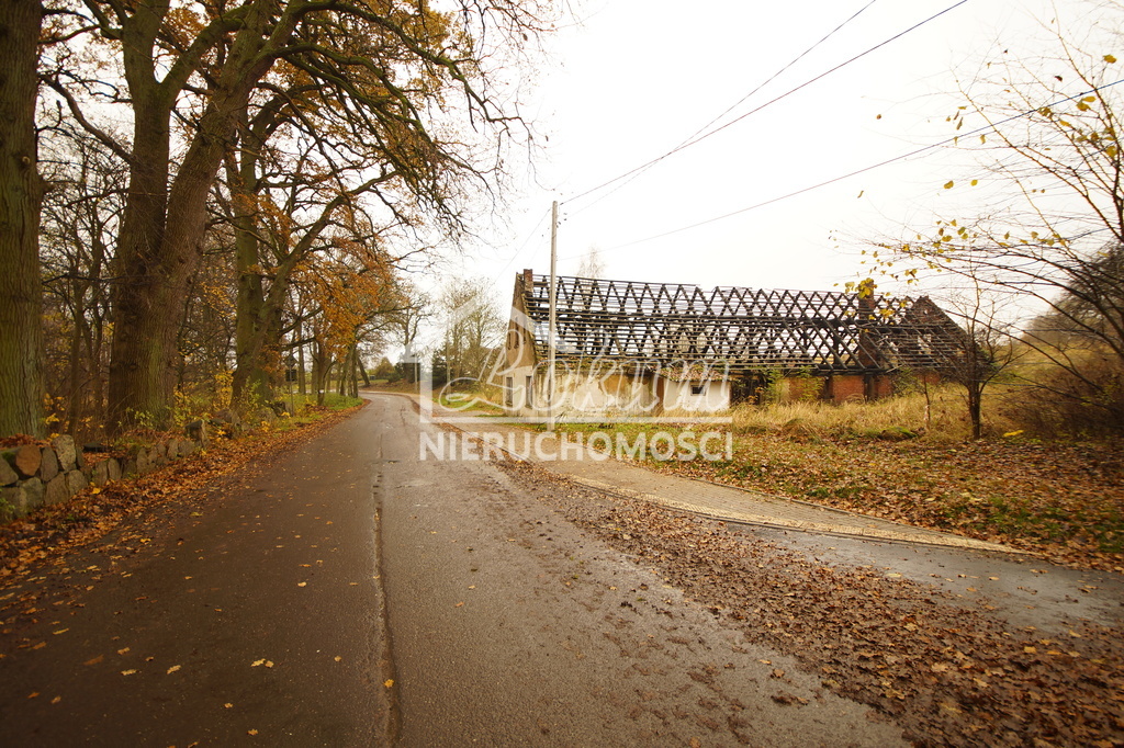 Działka budowlana 8900&nbsp;m², Radzanek - zdjęcie 1