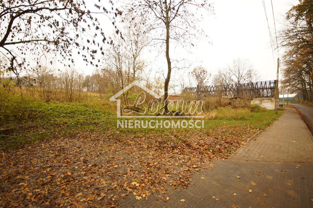 Działka budowlana 8900&nbsp;m², Radzanek - zdjęcie 2