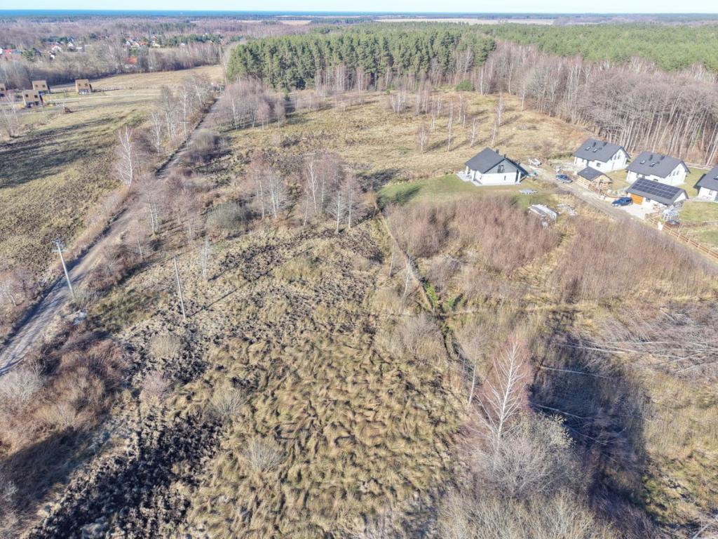 Słoneczna działka budowlana w Sasinie Jarzębinowa - zdjęcie 13