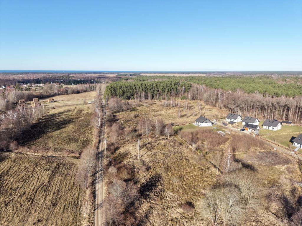 Słoneczna działka budowlana w Sasinie Jarzębinowa - zdjęcie 4